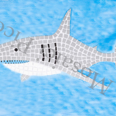 squalo mosaico