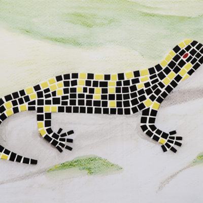 kit mosaico salamandra